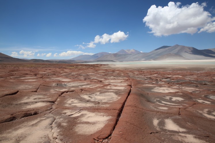Atacama - Piedras Rojas (68) (Copier)