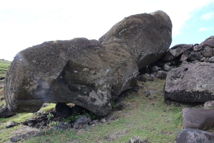 Rapa Nui - Akahanga (33) (Copier)