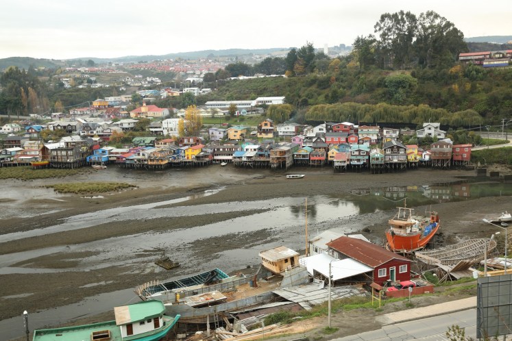 castro (17) (Copier)