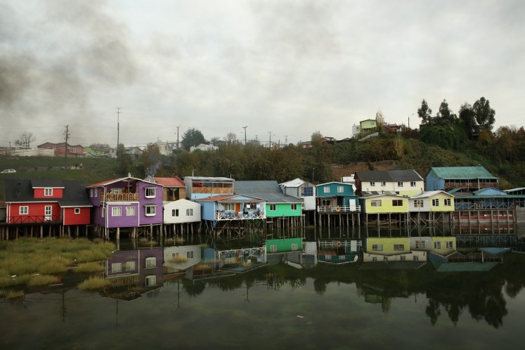 castro (36) (Copier)